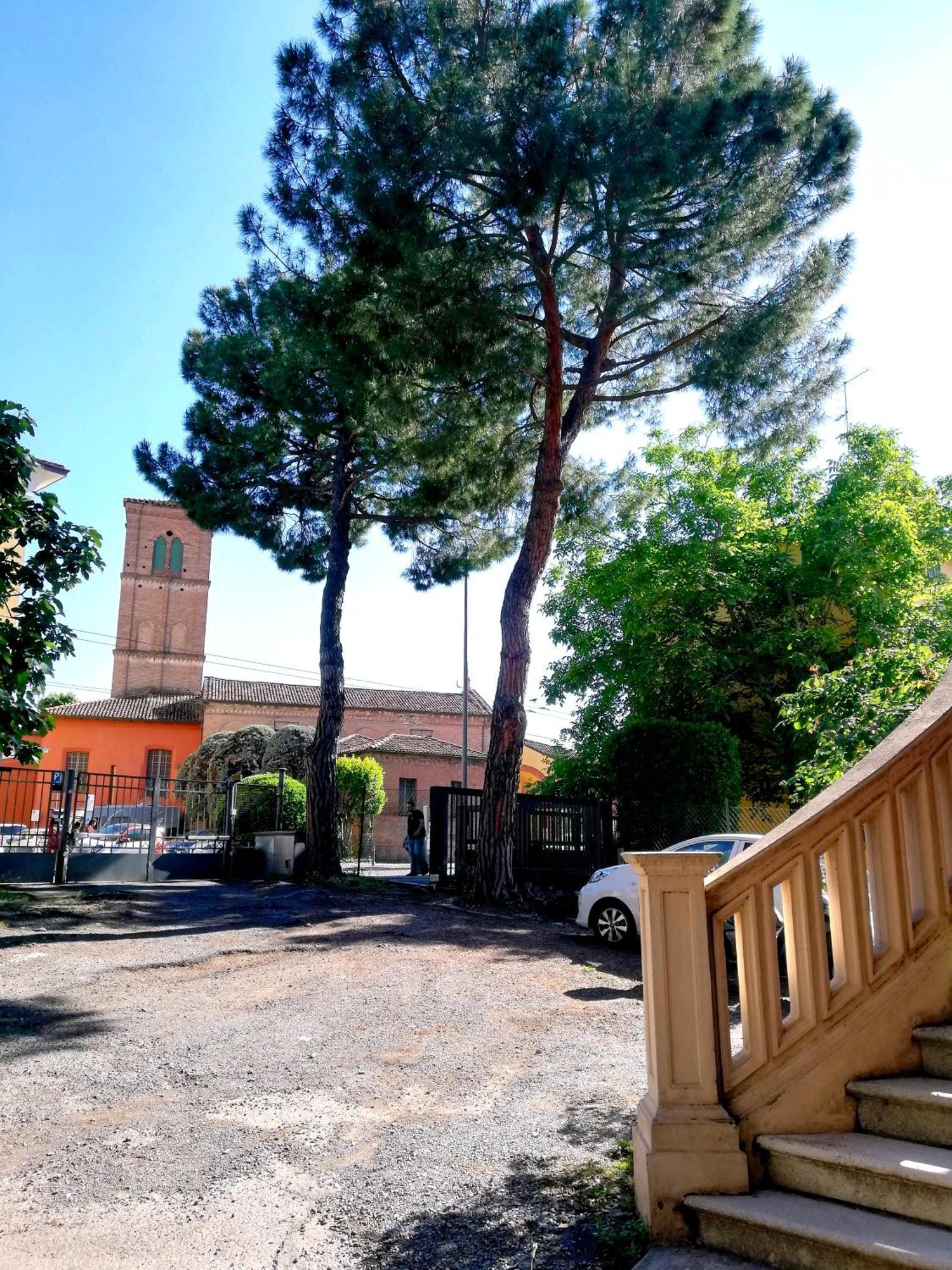 Tupertu Sant'Orsola - Centro Lägenhet Bologna Exteriör bild